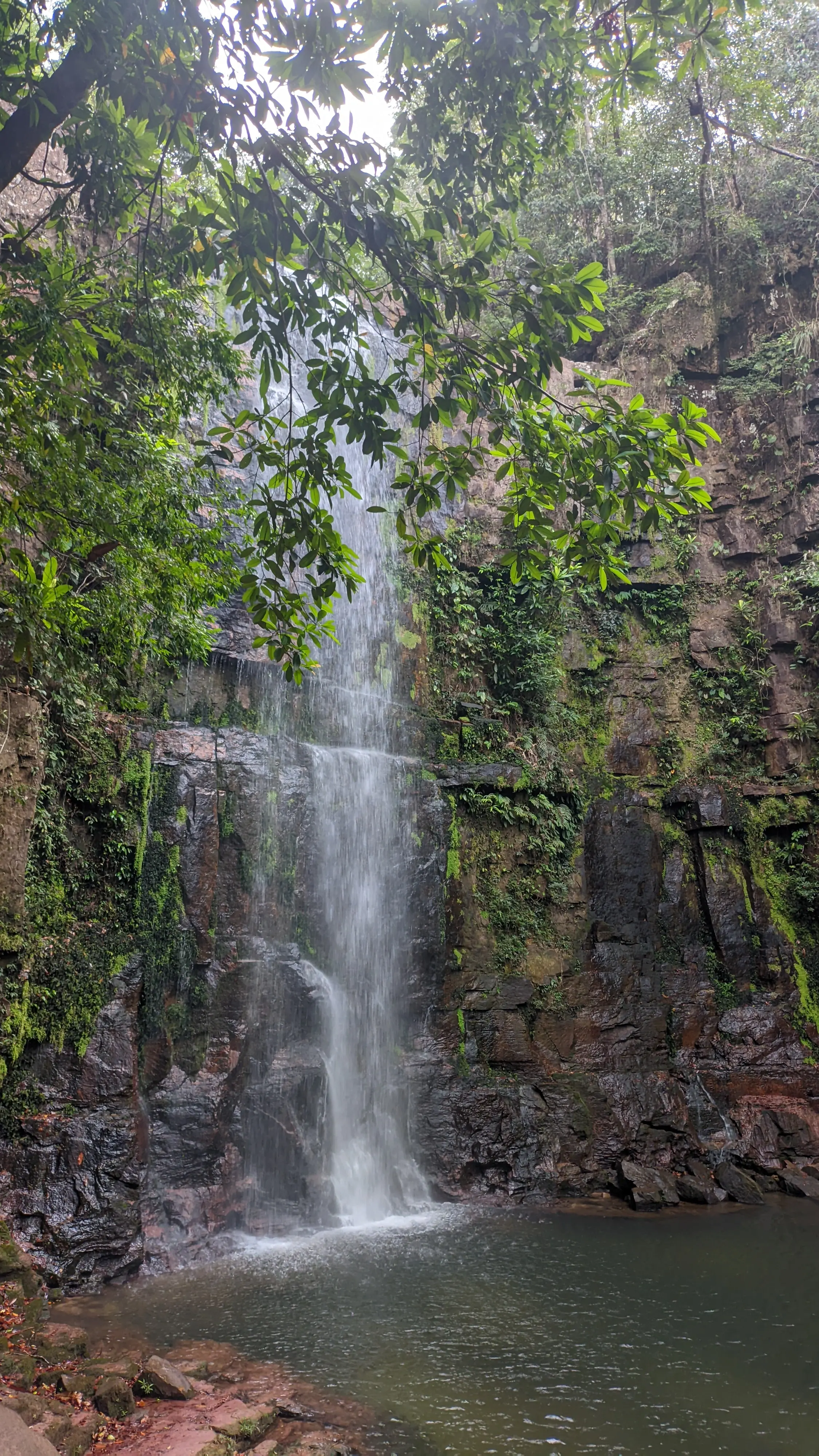 cachoeira agua limpa, com uma queda de cerca de 30m, mas com a vista de lado, logo na chegada