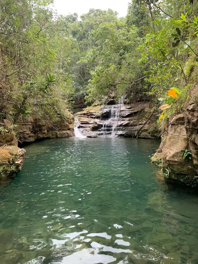uma das cachoeiras da trilha da bateia parte alta, a água está esverdeada e tem uma pequena queda de água