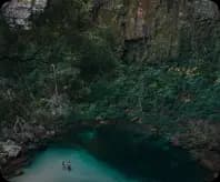 Foto do atrativo Santuário das Araras